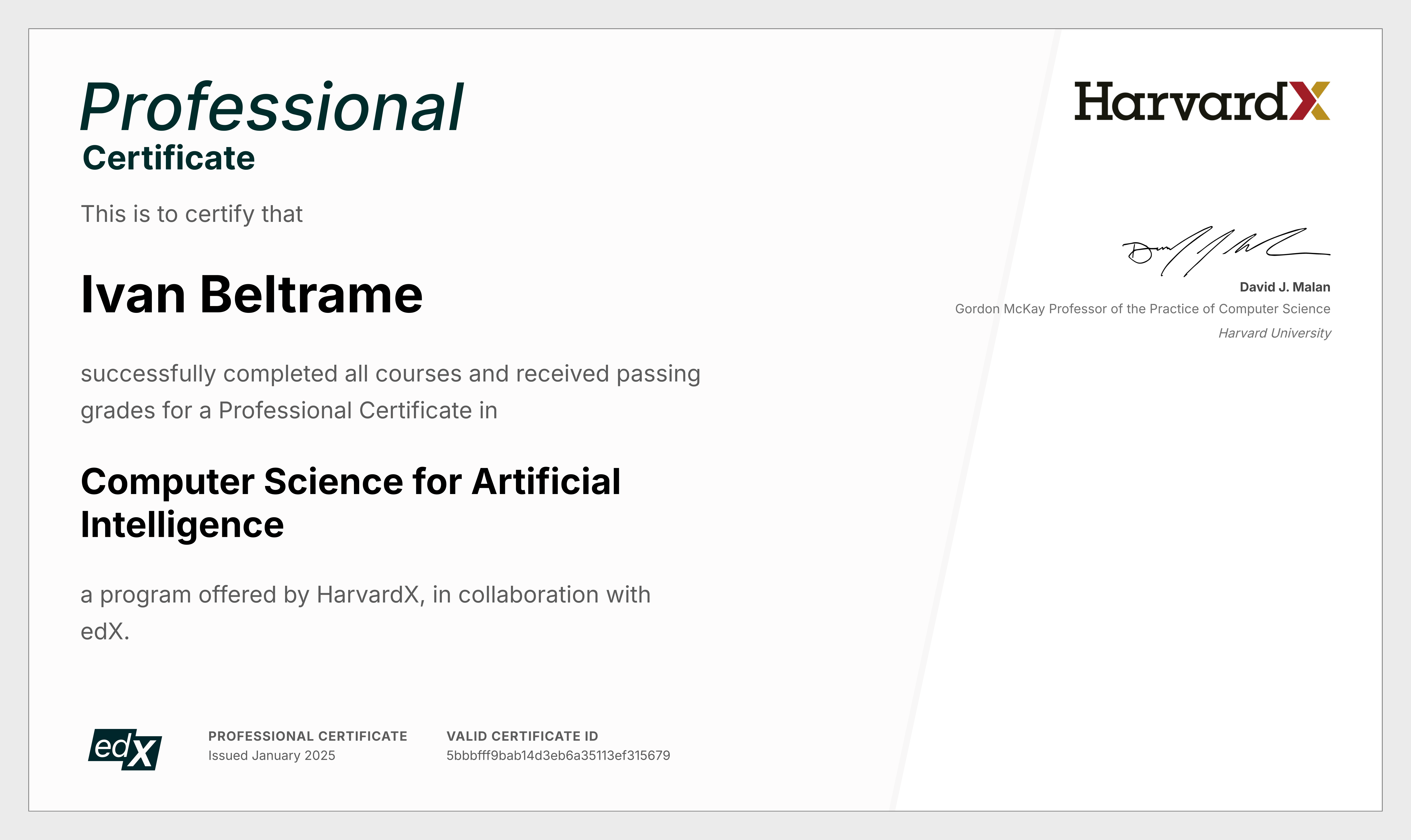 Certificato professionale sulla computer scienza per l'intelligenza artificiale